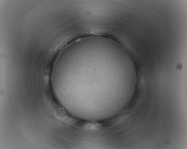 X0000112420595200908211147