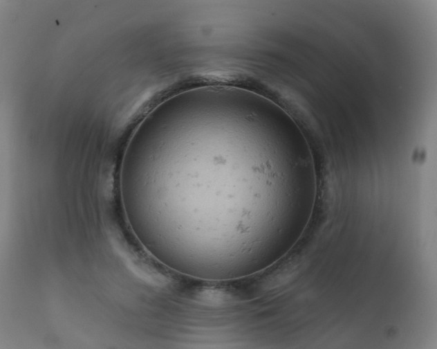 X0000112420596200908211147