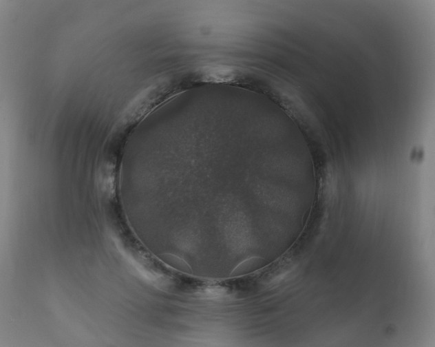 X0000112420598200908211147