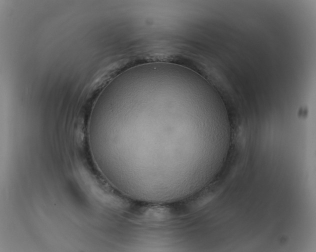 X0000112420599200908211147