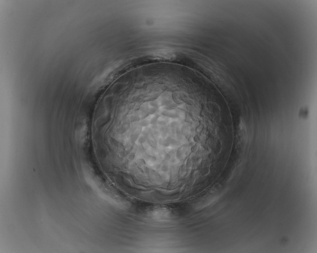 X0000112420600200908211147