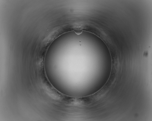 X0000112420601200908211147