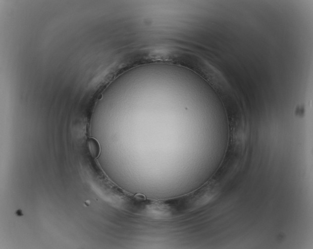 X0000112420603200908211147