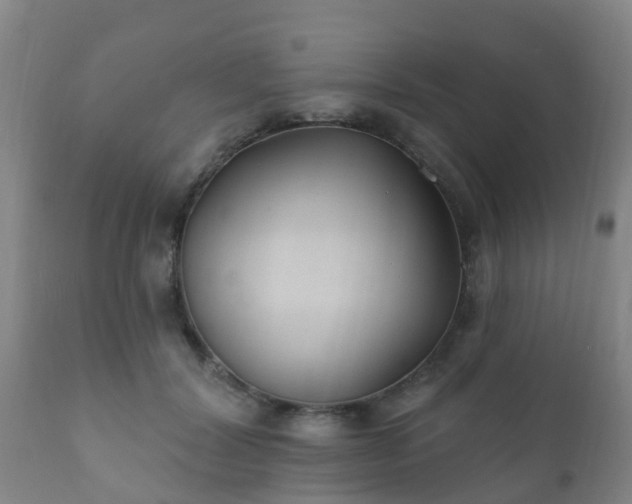 X0000112420604200908211147