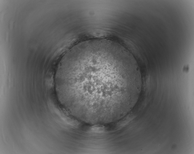 X0000112420606200908211147