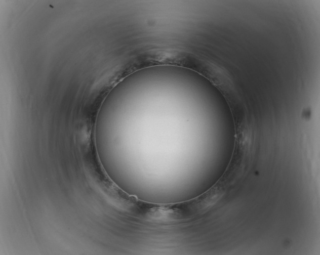 X0000112420607200908211147