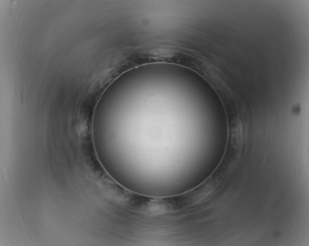 X0000112420608200908211147