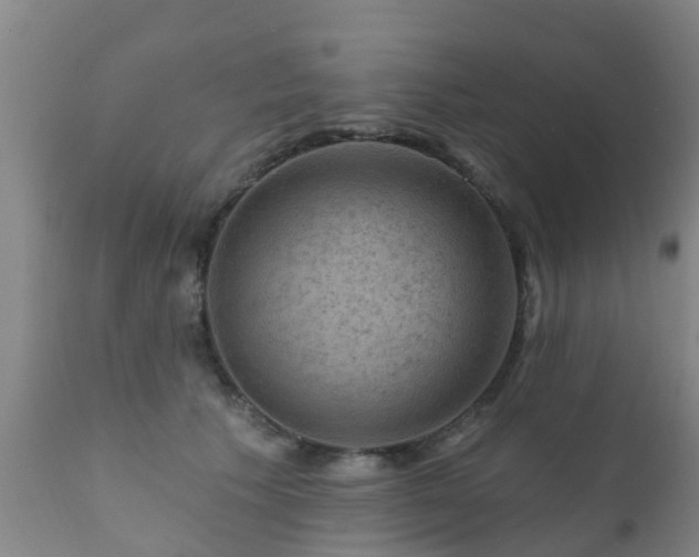 X0000112420609200908211147