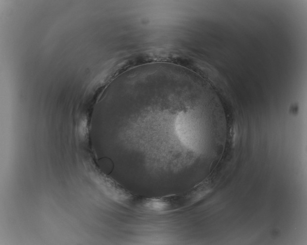 X0000112420610200908211147