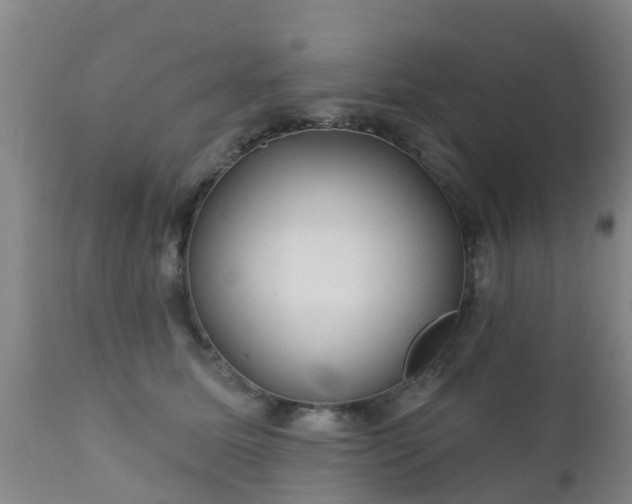 X0000112420611200908211147