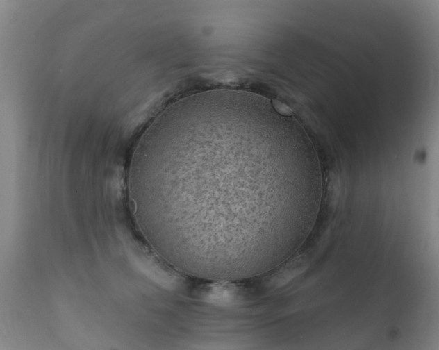 X0000112420612200908211147