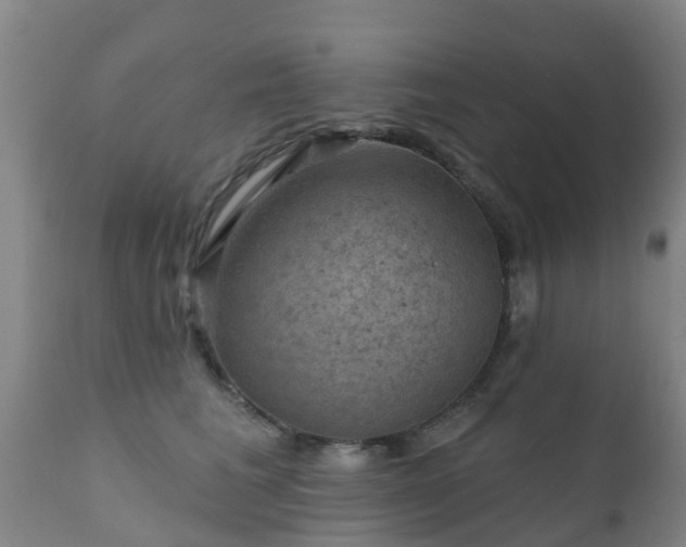 X0000112420613200908211147