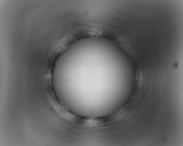 X0000112420614200908211147