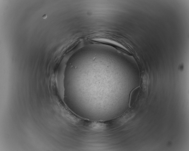 X0000112420617200908211147