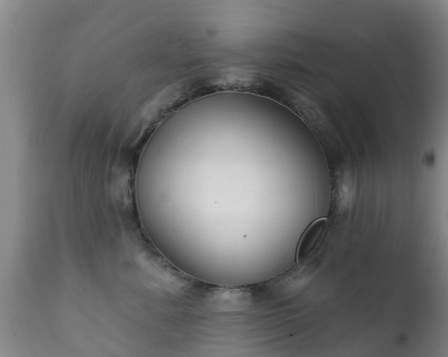 X0000112420619200908211147