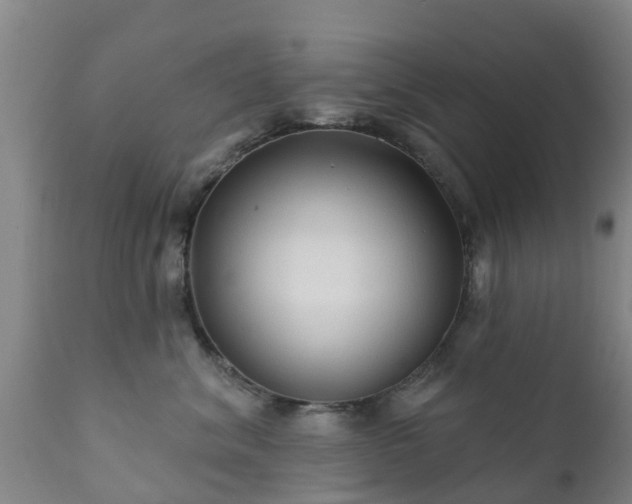 X0000112420620200908211147