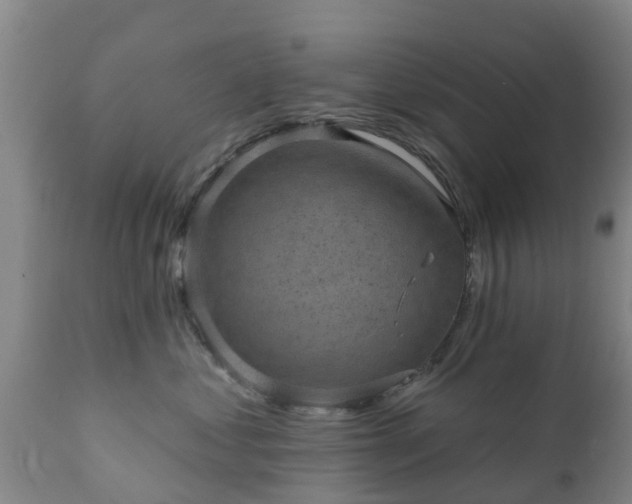 X0000112420621200908211147