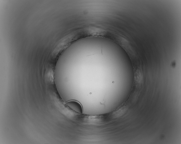 X0000112420622200908211147