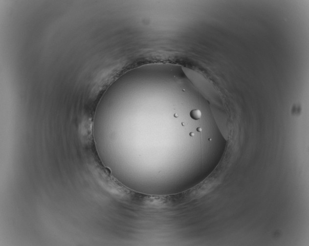 X0000112420624200908211147