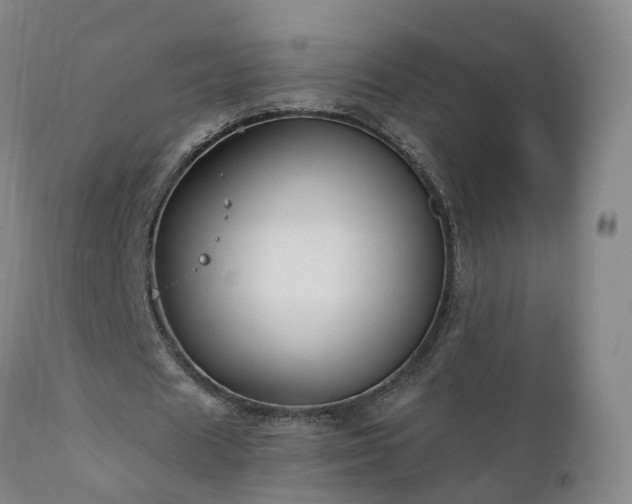 X0000112420625200908211146