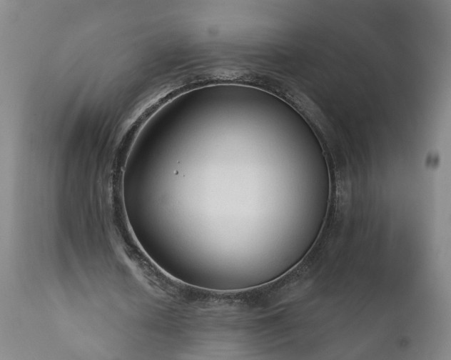 X0000112420626200908211146