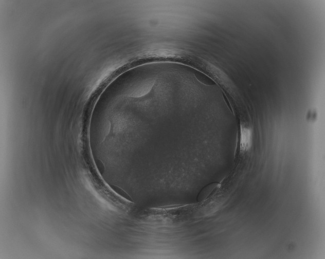 X0000112420627200908211146