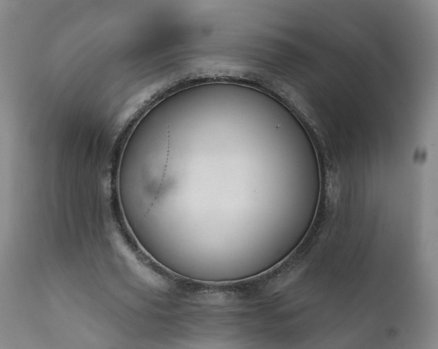 X0000112420629200908211146