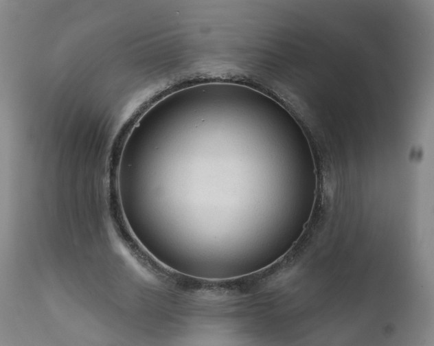 X0000112420630200908211147