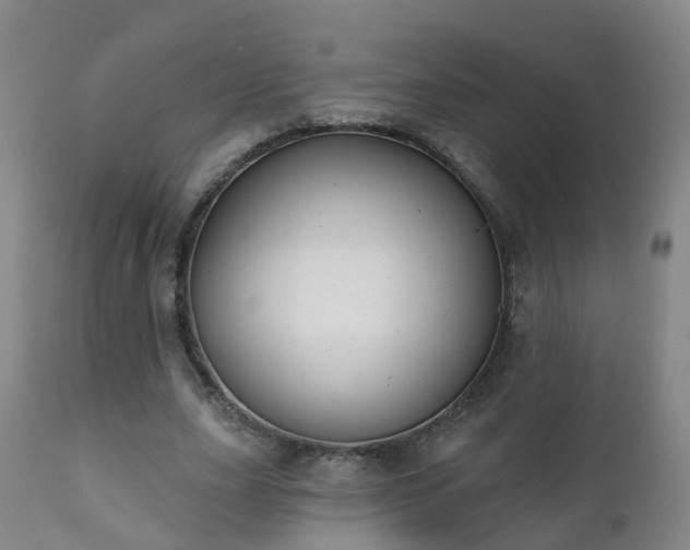 X0000112420631200908211147