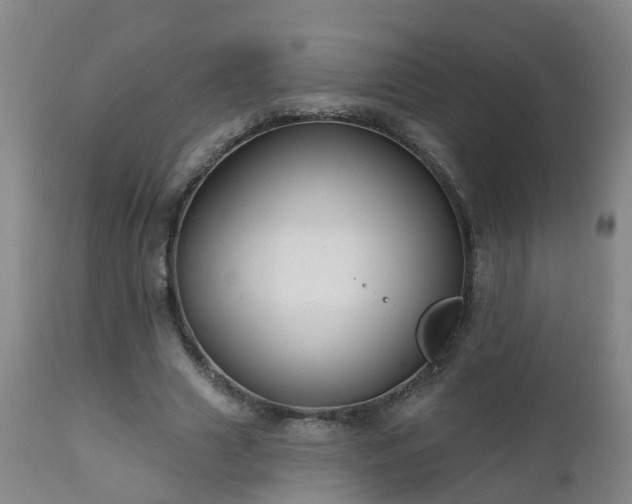 X0000112420633200908211147