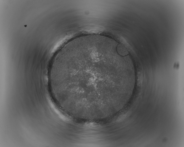 X0000112420634200908211147