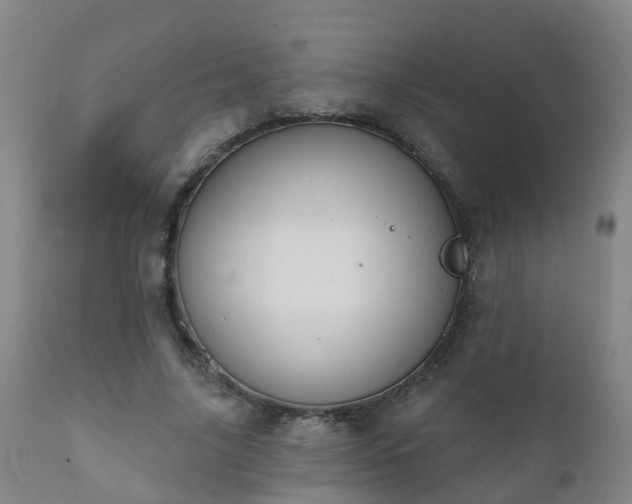 X0000112420635200908211147