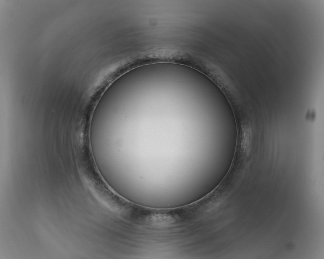 X0000112420636200908211147