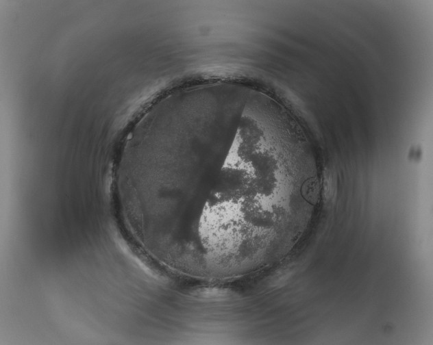 X0000112420637200908211147