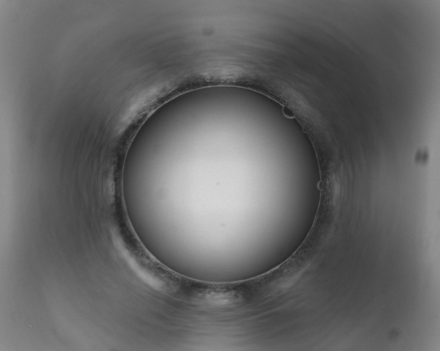 X0000112420638200908211147