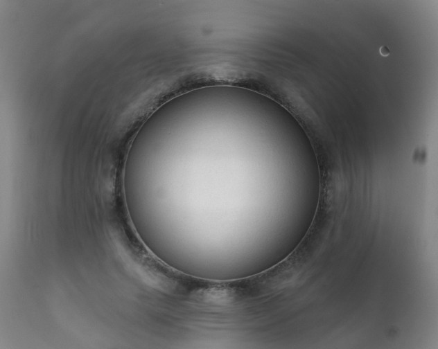 X0000112420639200908211147