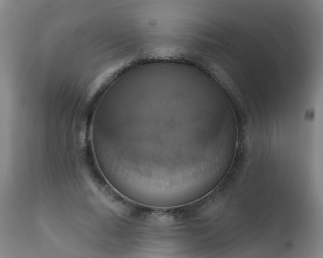 X0000112420640200908211147