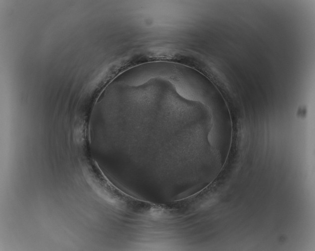 X0000112420641200908211147