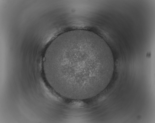 X0000112420642200908211147