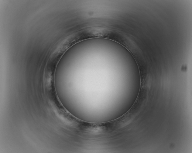 X0000112420646200908211147