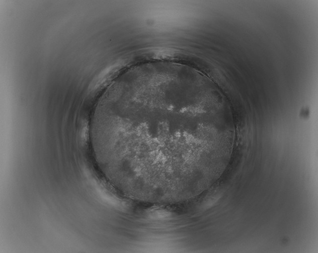 X0000112420648200908211147