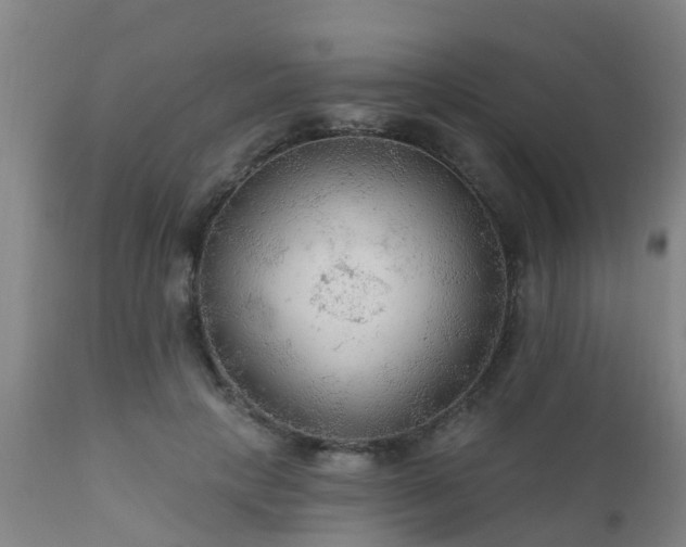 X0000112420649200908211147