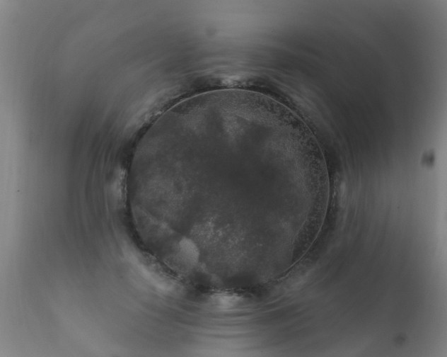 X0000112420650200908211147