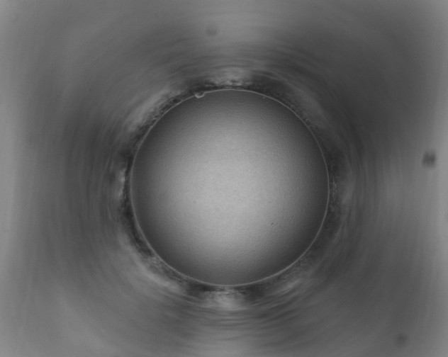 X0000112420652200908211147