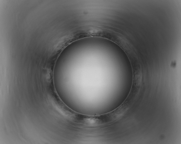 X0000112420654200908211147