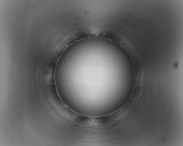 X0000112420656200908211147