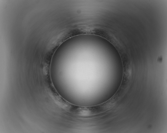 X0000112420658200908211147