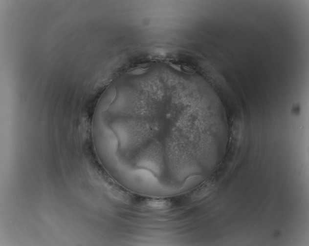 X0000112420659200908211147