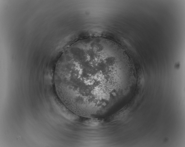 X0000112420661200908211147