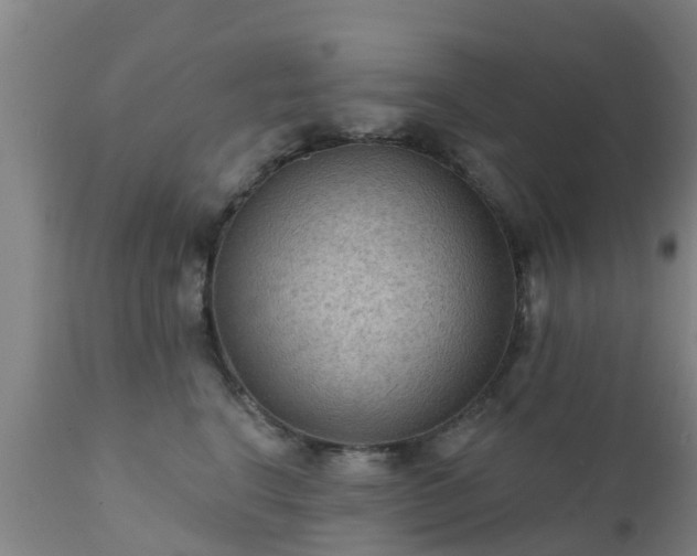 X0000112420664200908211147